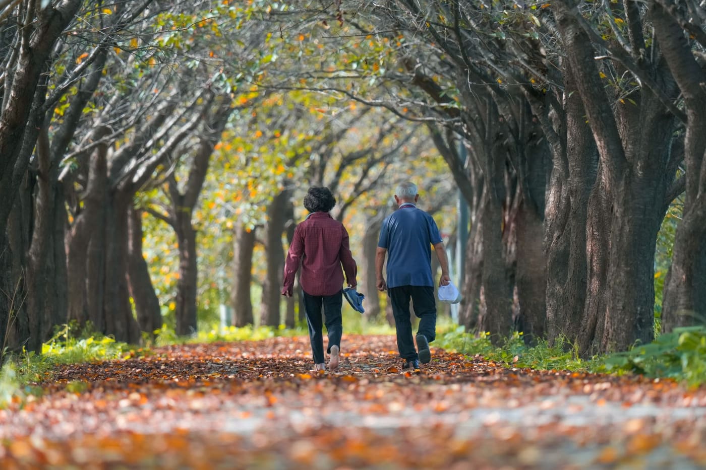 An older couple walking along a leaf-covered path under autumn trees