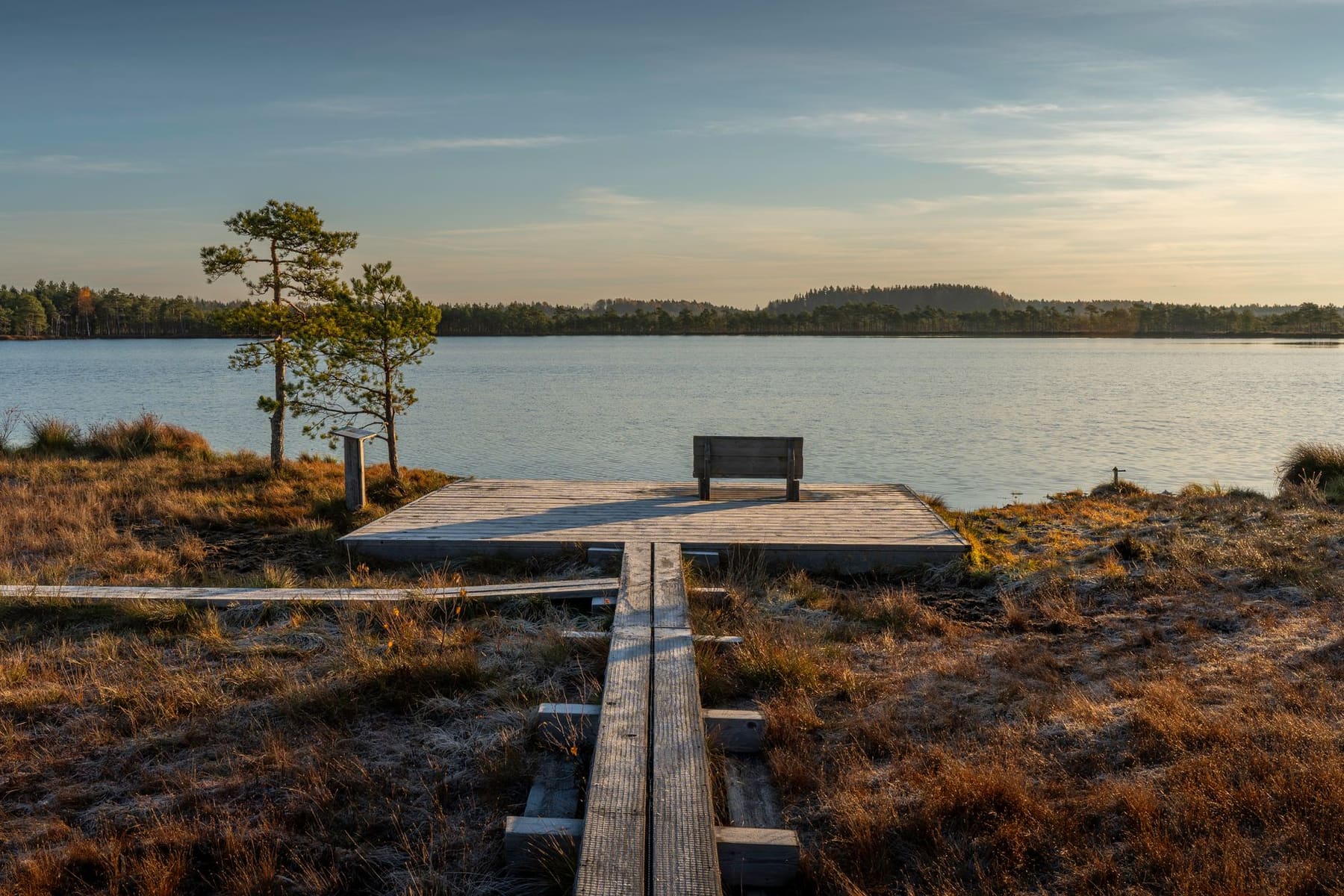A wooden boardwalk leads to a calm lake with a bench under a blue sky