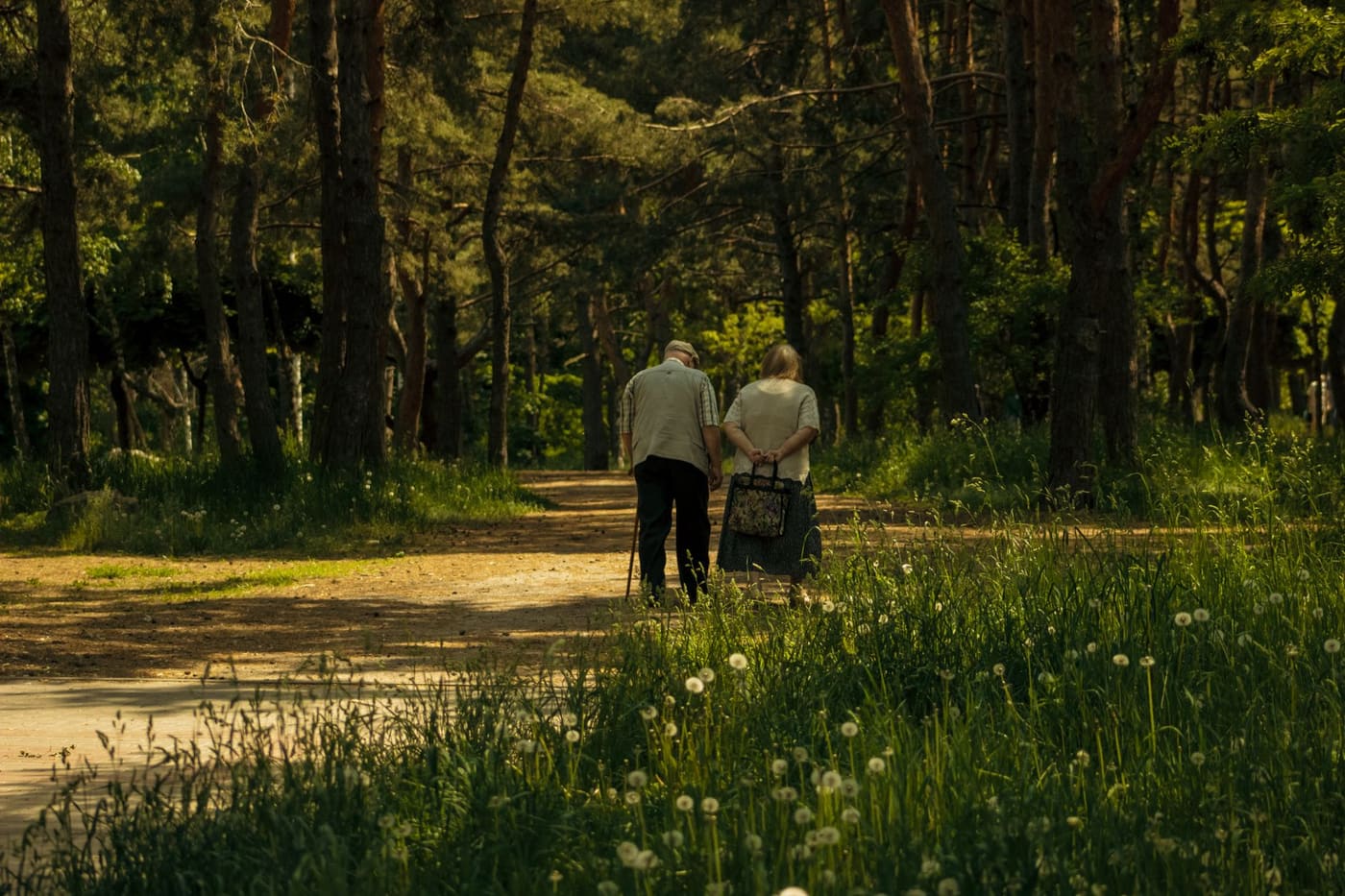 An older couple walking hand in hand along a sunlit forest path